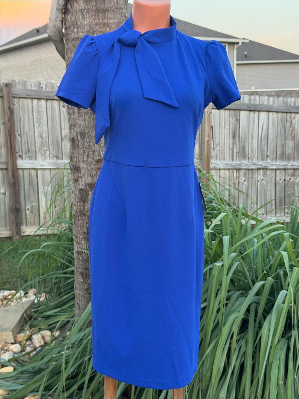 Maggy London Cobalt Blue Tie-Neck Short Sleeve Midi Dress size 6P